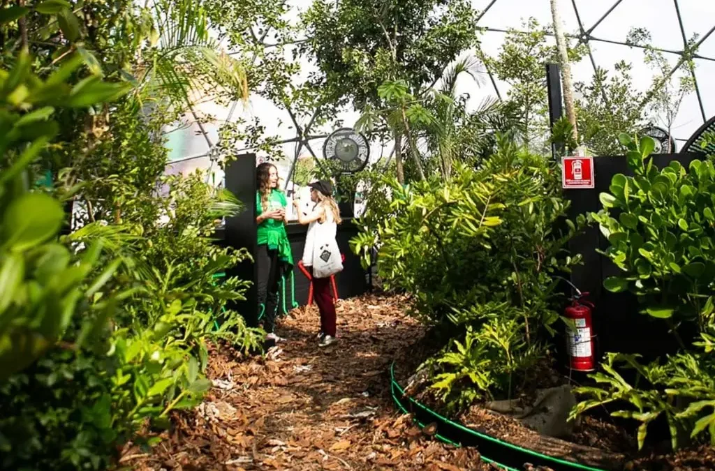 Floresta de bolso é uma das alternativas para conter aquecimento global